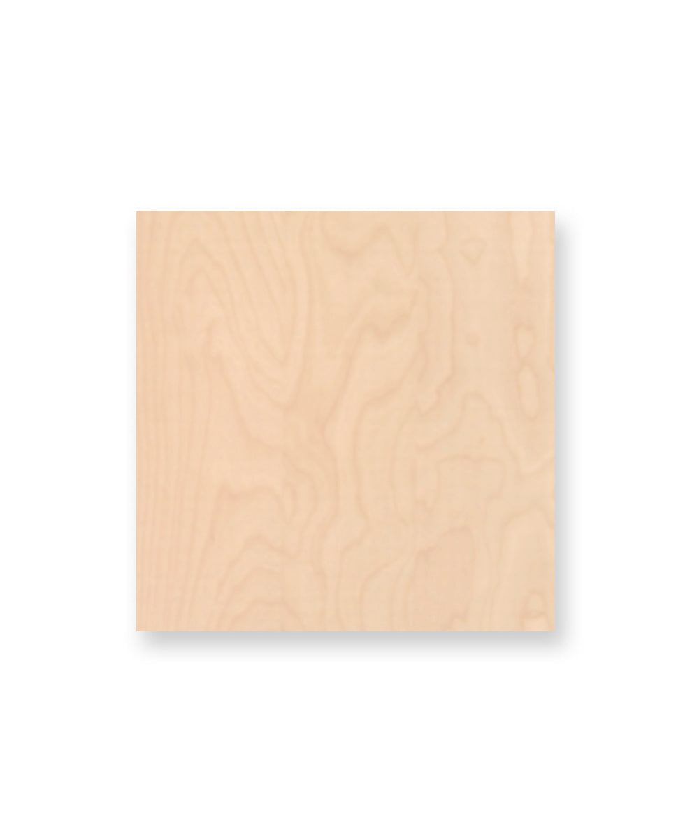 A birch swatch featuring subtle grain patterns on a white background.