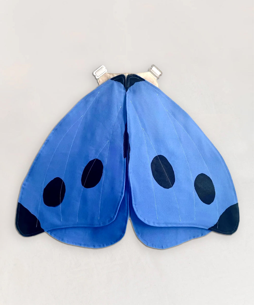 Le Blue Butterfly Wings